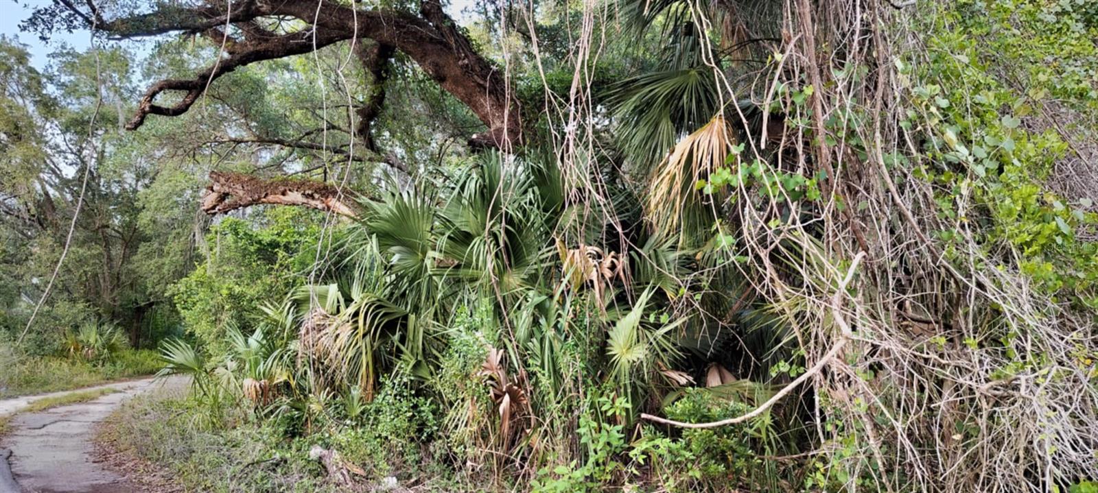 SHELTERING OAKS UNREC SUB - Land