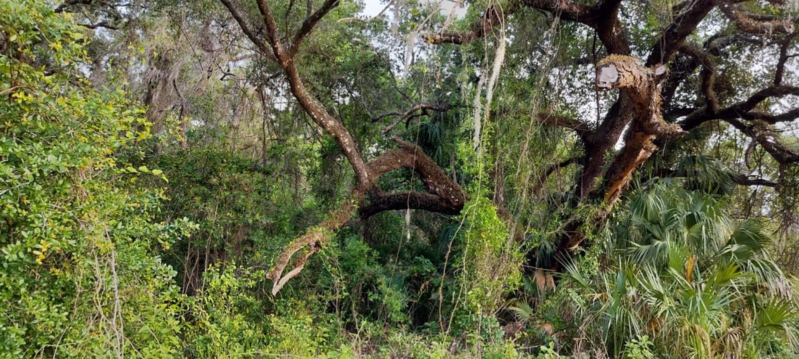 SHELTERING OAKS UNREC SUB - Land
