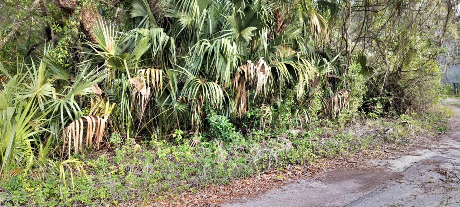 SHELTERING OAKS UNREC SUB - Land