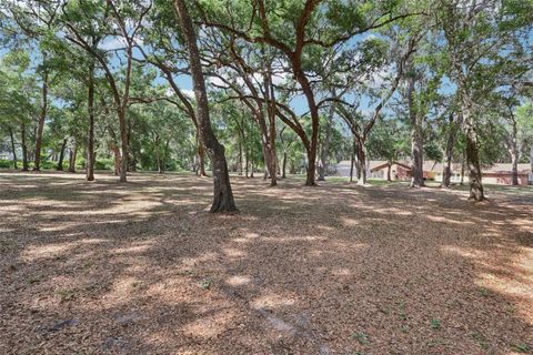 Tiny photo for 2685 Cr 564, Bushnell, FL 33513 (MLS # G5113153)