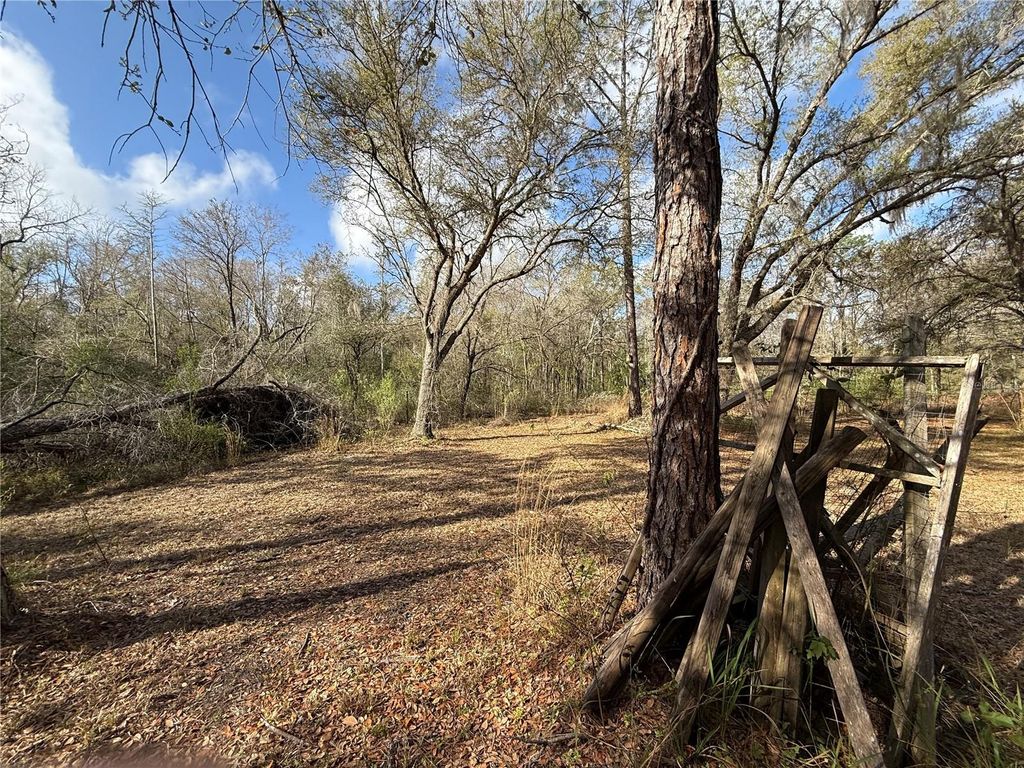 Photo of 12708 Farmettes Road, Lakeland, FL 33809 (MLS # L4960112)