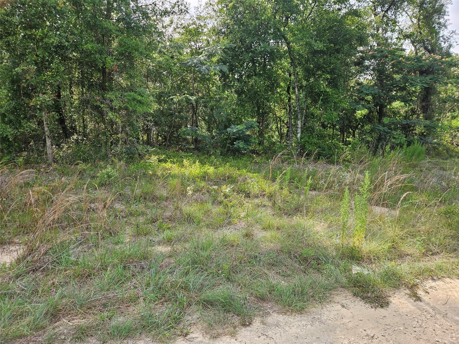 TBD NE 153RD AVENUE