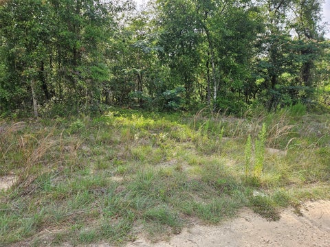 Tiny photo for Tbd NE 153rd Avenue, Williston, FL 32696 (MLS # OM726153)