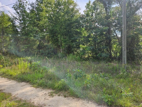 Photo of Tbd NE 153rd Avenue, Williston, FL 32696 (MLS # OM726153)