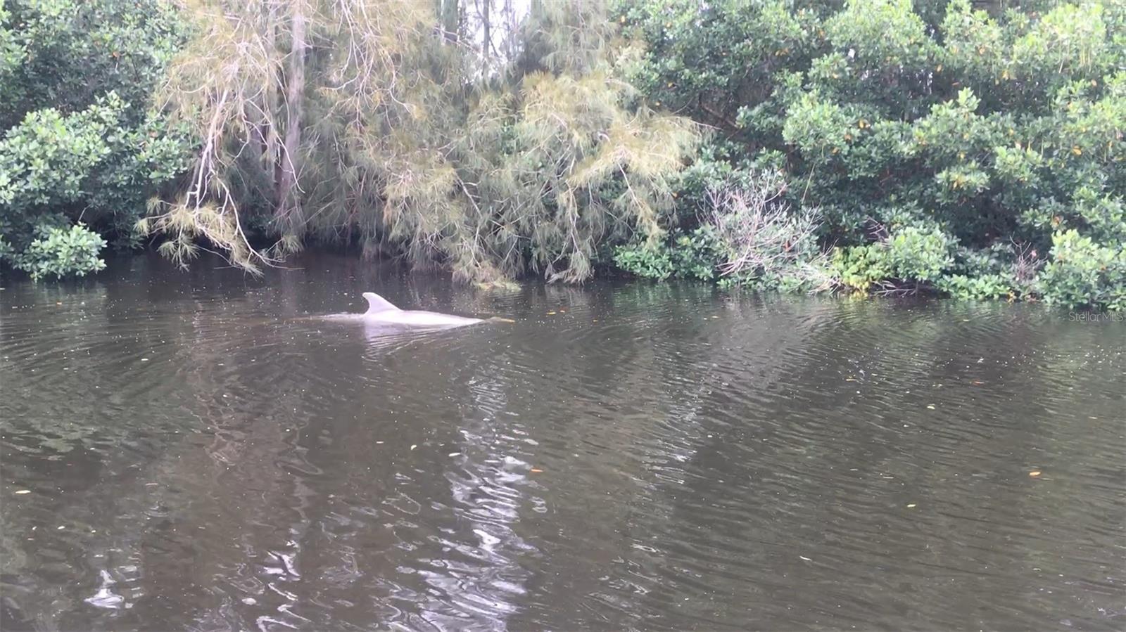 SANS SOUCI ESTATES - Residential