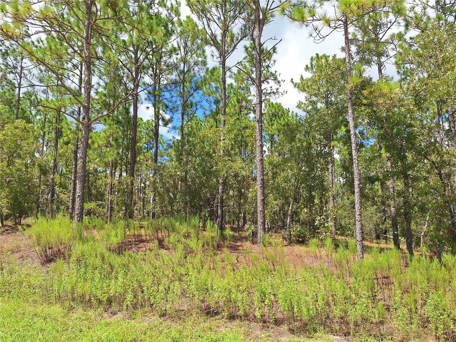 ROLLING HILLS UNIT 3 - Land