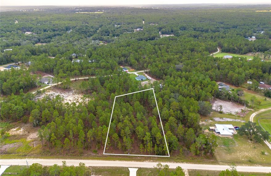 Discover the perfect blend of country living within a quiet community tucked amidst some of the prettiest land in Marion County. This large lot has some lovely pines and scattered hardwoods. Not much clearing will be required for a beautiful homesite. No HOA and not in a flood zone. Per the county zoned for site built homes only. No mobile homes. Located only 11 miles from the esteemed World Equestrian Center for world-class horse events as well as other year-round festivals and shows and 15 minutes to beautiful Rainbow Springs State Park for your outdoor adventures. If saltwater fishing is your thing, the Gulf of America is a short 30 minute drive. Find your builder and get started on your dream home today!