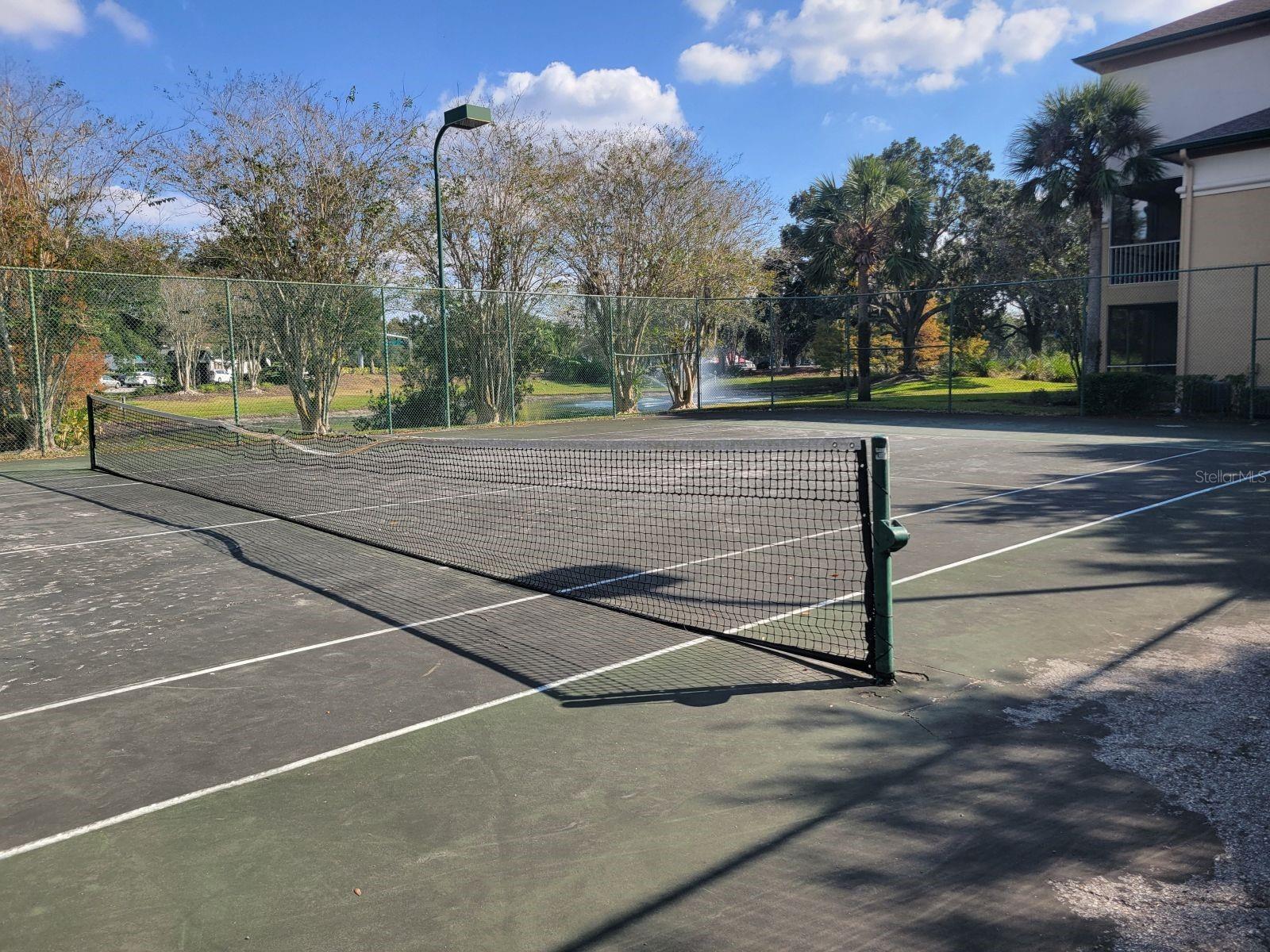 JADE AT TAMPA PALMS A CONDOMIN - Residential Lease