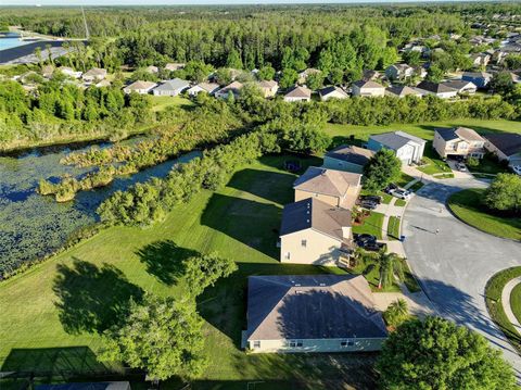 A home in LAND O LAKES