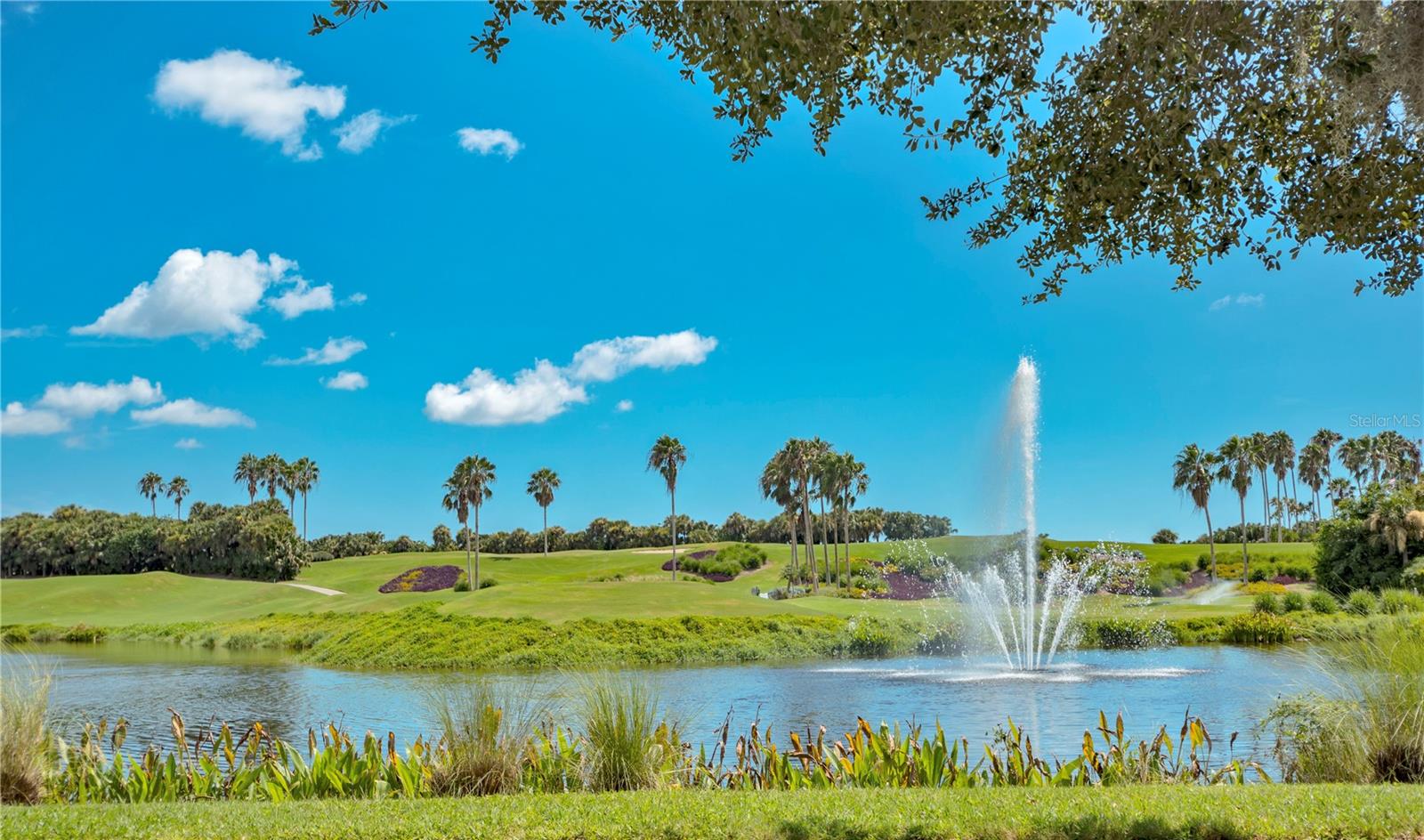 HERON CREEK - Residential