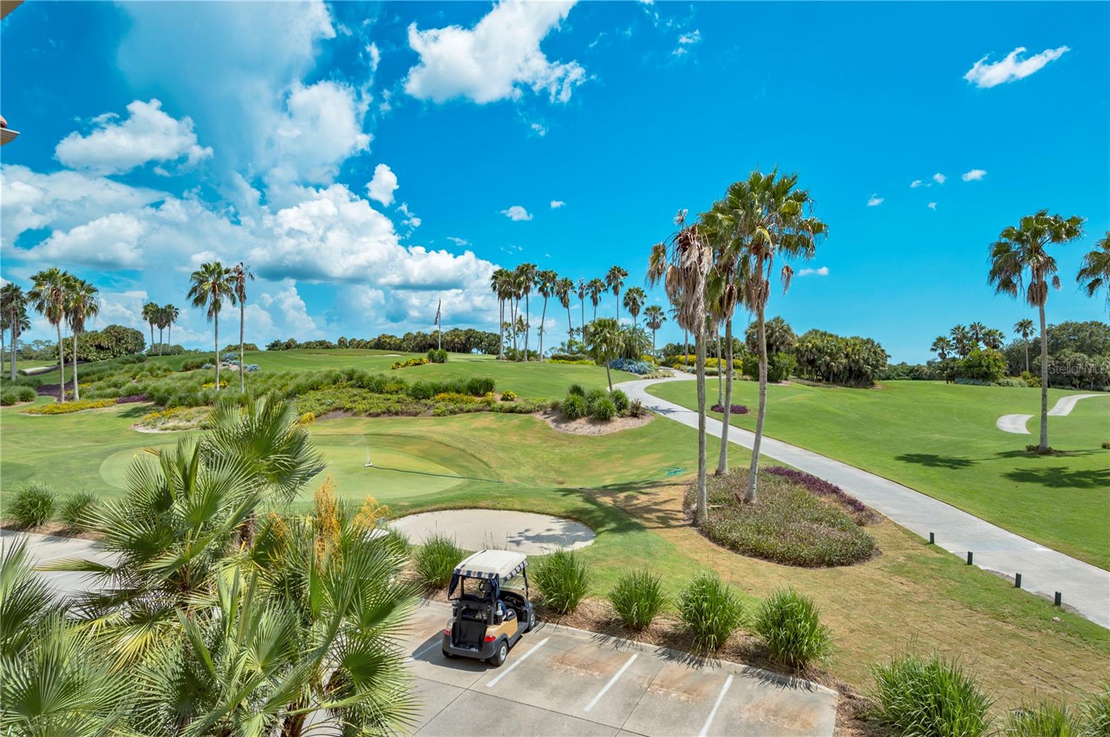 1062 EAGLES FLIGHT WAY