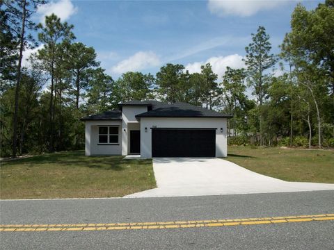 A home in CITRUS SPRINGS