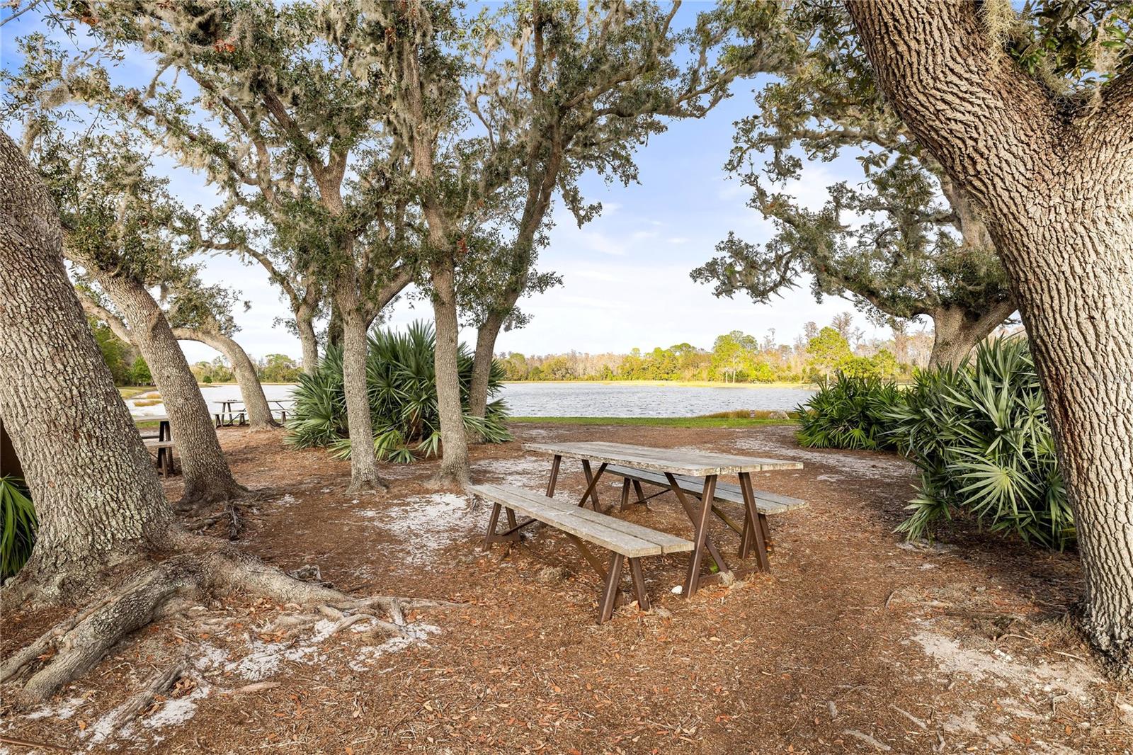STARKEY RANCH-65' LOTS - Residential