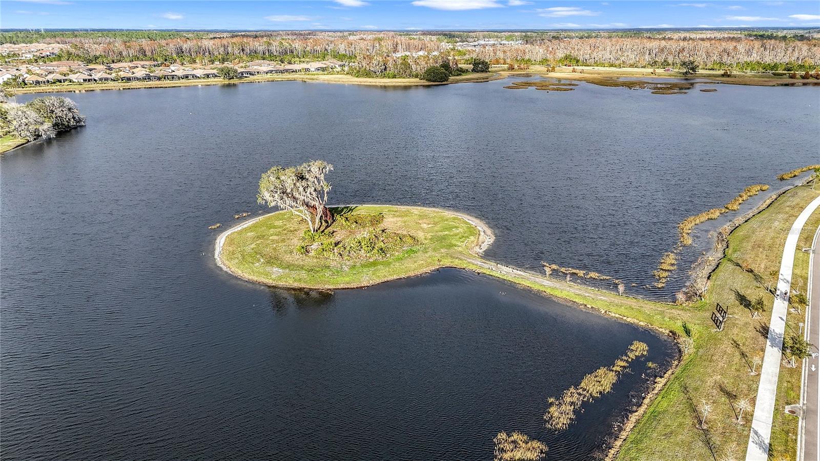 STARKEY RANCH-65' LOTS - Residential