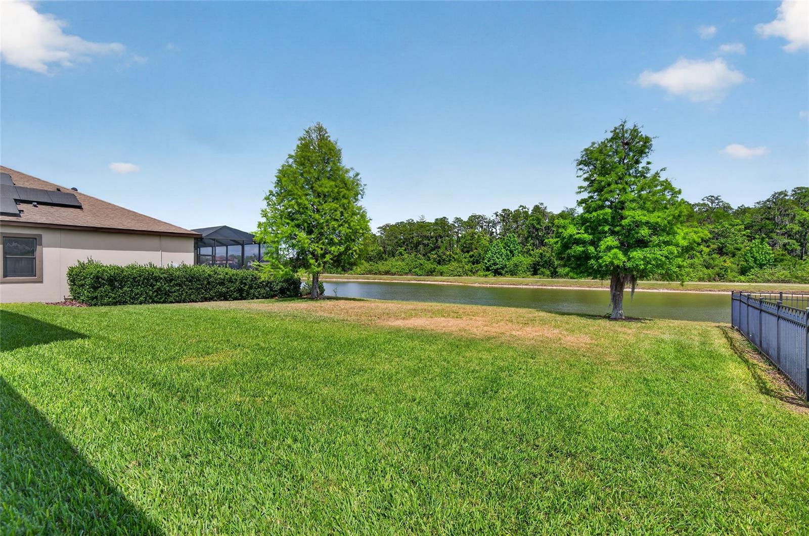 STARKEY RANCH-65' LOTS - Residential