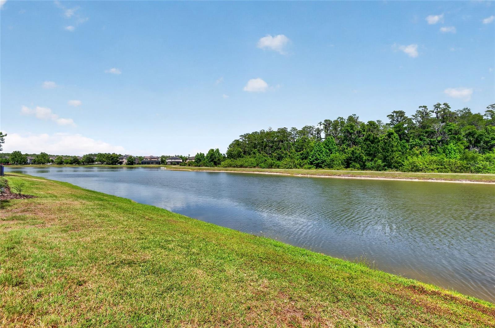 STARKEY RANCH-65' LOTS - Residential