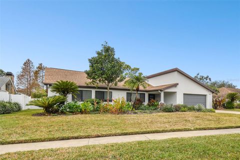 A home in TAMPA