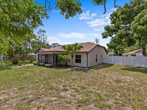 A home in PALM HARBOR