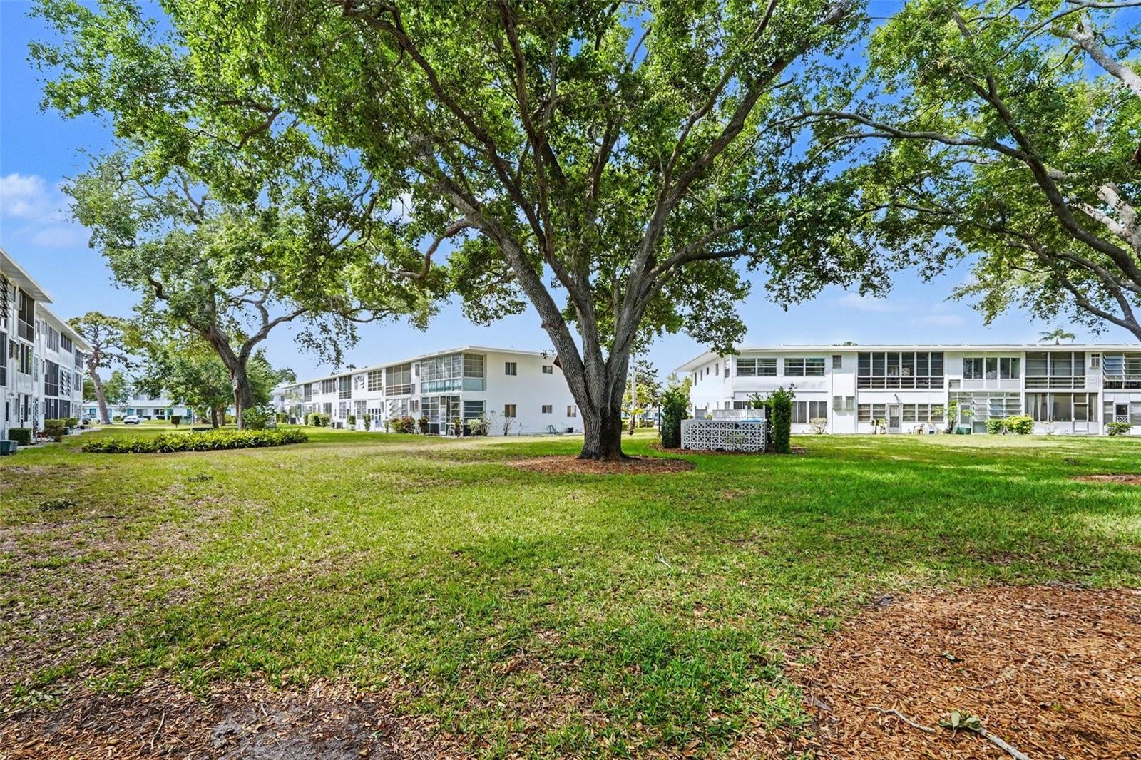 SEMINOLE GARDEN APTS CO-OP - Residential