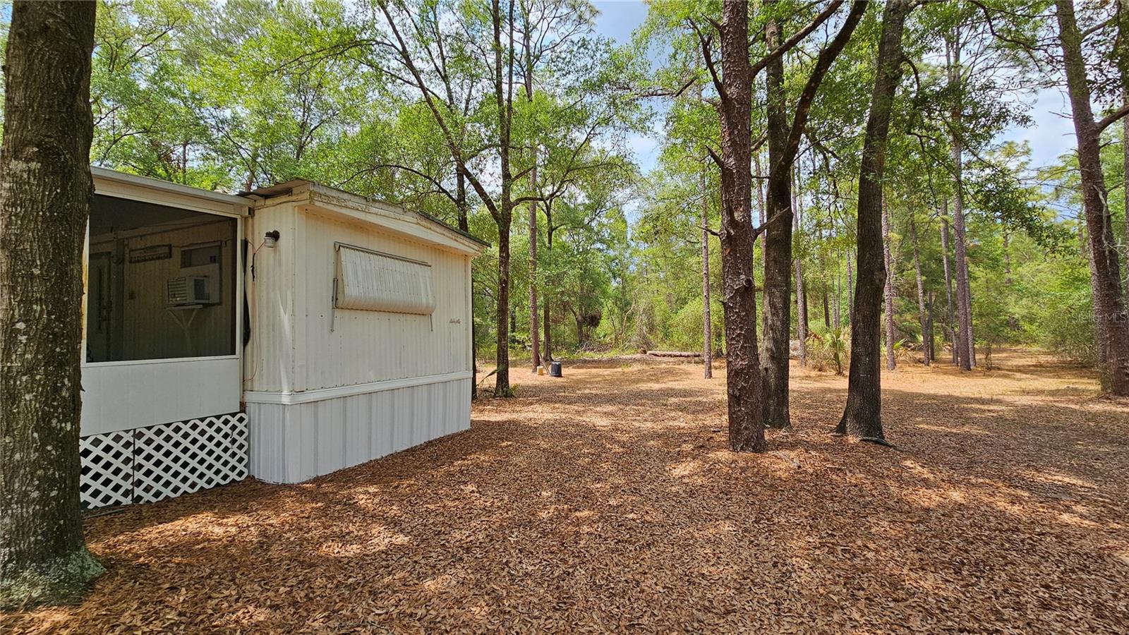 24533 PINK PANTHER ROAD