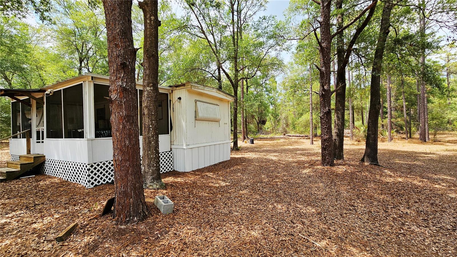 24533 PINK PANTHER ROAD