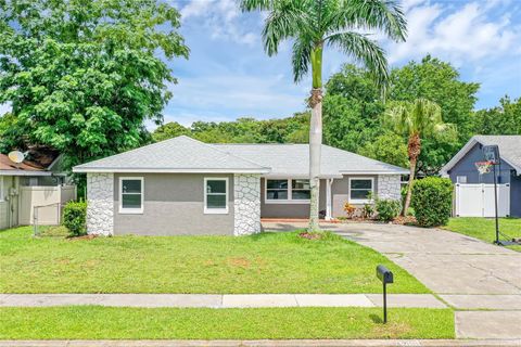 A home in ORLANDO