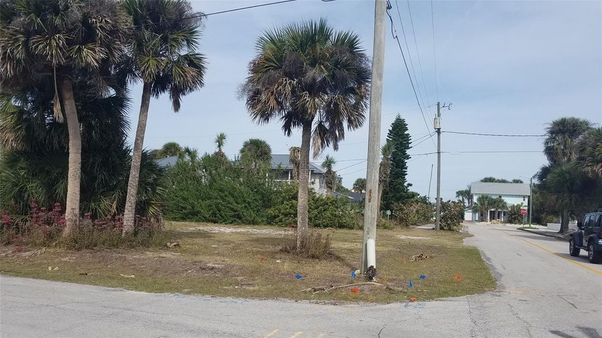1 of 3 Lots being offered on Condict. Each Lot is 50 X 90. Great North beach Location - Build your Beach home within walking distance of the Ocean, Flagler Avenue shops and Dining.  See MLS 1056052 & 1056049 also.; Cleared: Partial