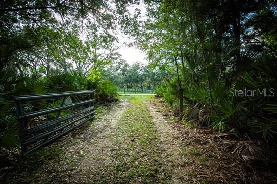 Photo of 54720 Astor Transfer Station Road, Astor, FL 32102 (MLS # A4709426)