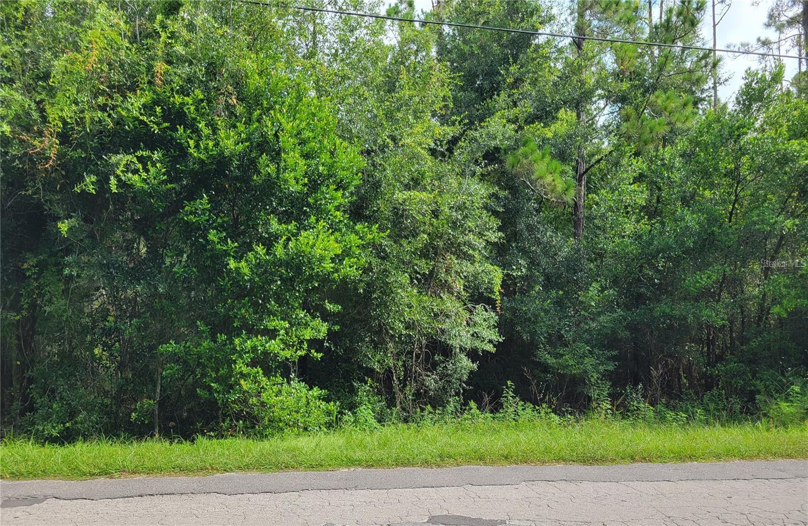 Build Your Dream Home on 2.5 Acres of Wooded Land for Sale in Dade City, Florida Discover the perfect opportunity to build your custom home on this beautiful 2.5-acre wooded lot for sale in the highly desirable Dade City–Zephyrhills area of Pasco County, Florida. Nestled in a peaceful, natural setting, this spacious land parcel offers the ideal blend of privacy and convenience. Located just minutes from historic downtown Dade City, this residential lot provides easy access to Highway 301 and is close to top-rated public schools, medical facilities, shopping centers, dining options, and recreational attractions. Enjoy the charm of small-town living while still being near all the amenities of larger neighboring cities. Whether you're looking for land to build a single-family home, invest in future development, or enjoy a quiet retreat, this prime Dade City land for sale is a rare find in today’s market. Don’t miss this opportunity to own acreage in one of Central Florida’s fastest-growing areas—schedule your private tour today!