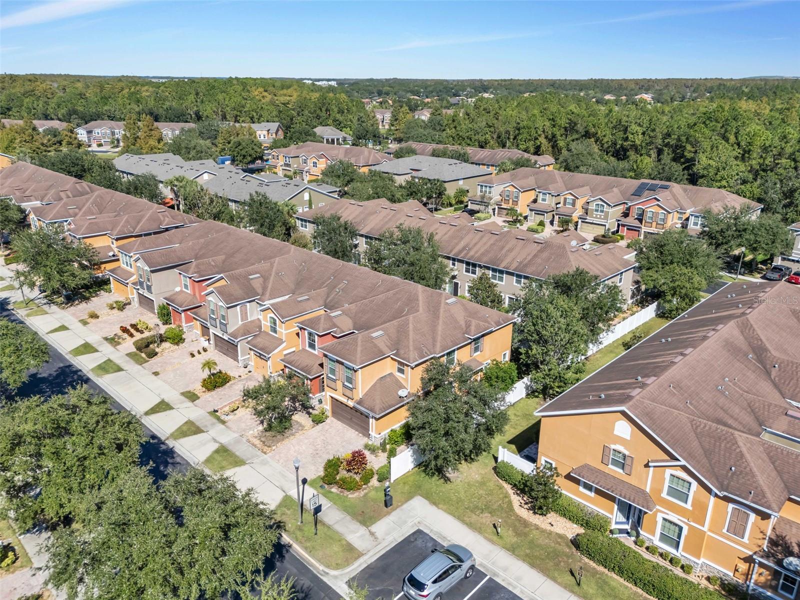 LAKE NONA PRESERVE - Residential