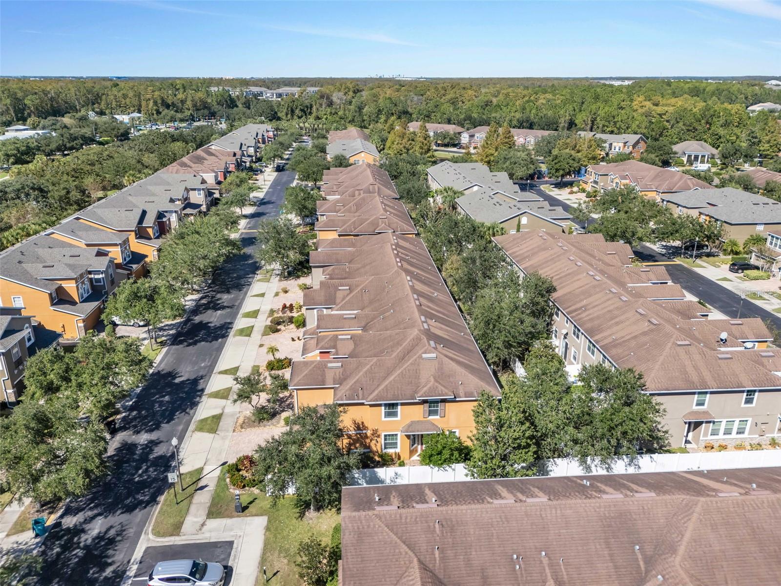 LAKE NONA PRESERVE - Residential