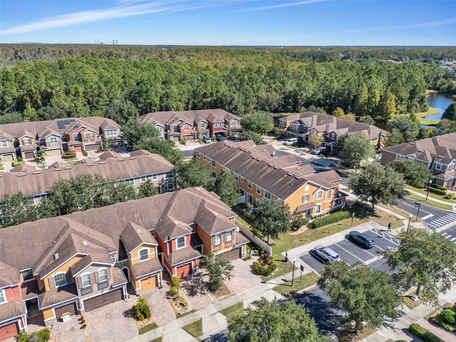 LAKE NONA PRESERVE - Residential