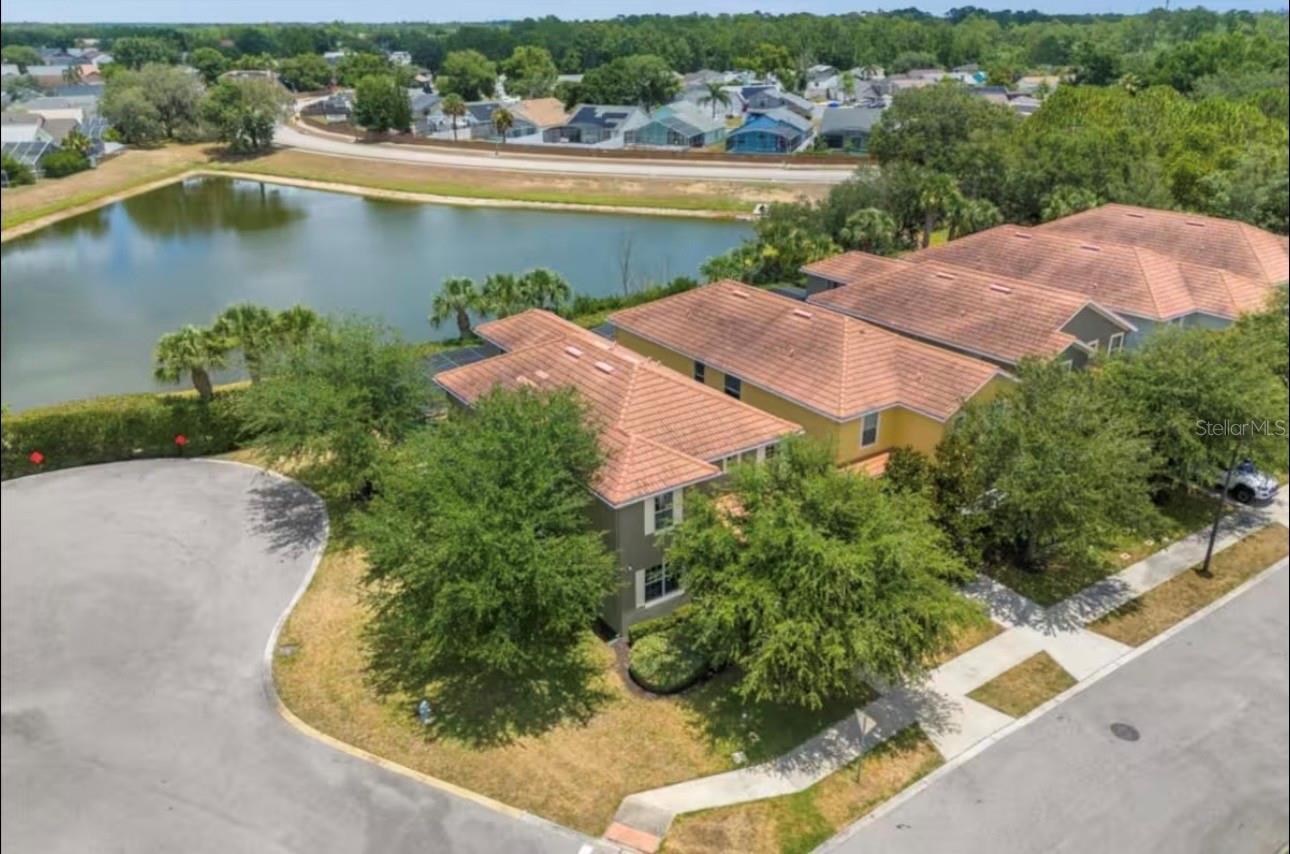 2989 BANANA PALM DRIVE