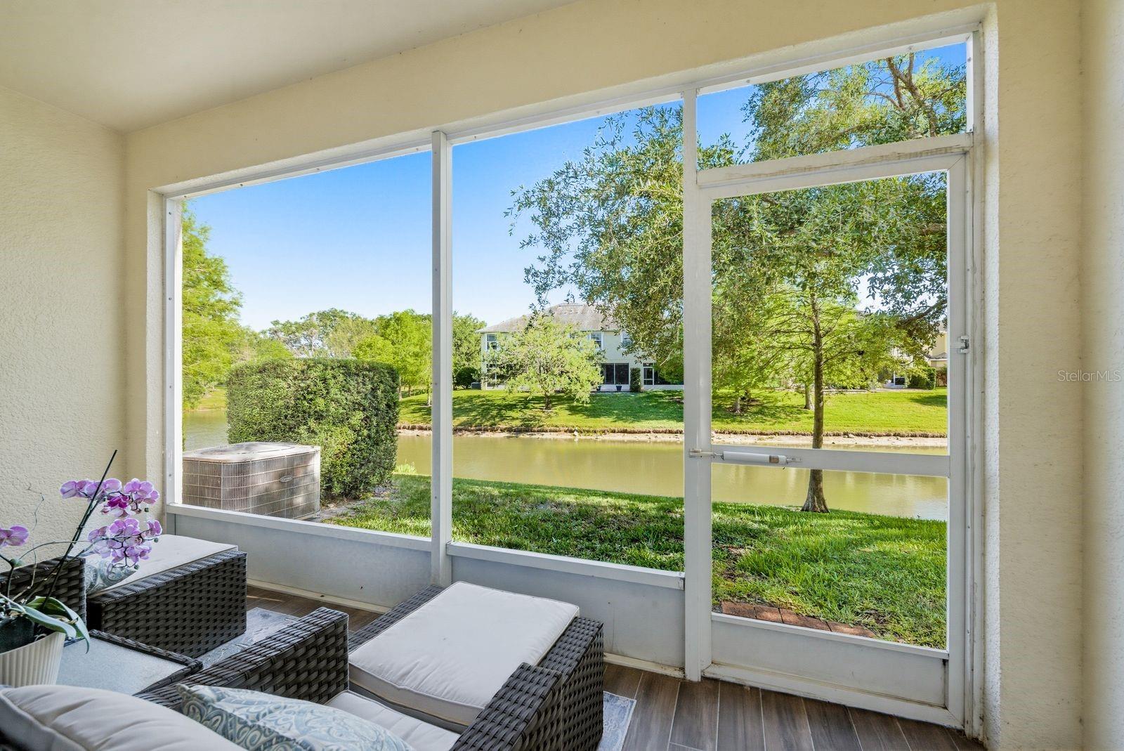 HARBOR RIDGE OF PALM HARBOR - Residential
