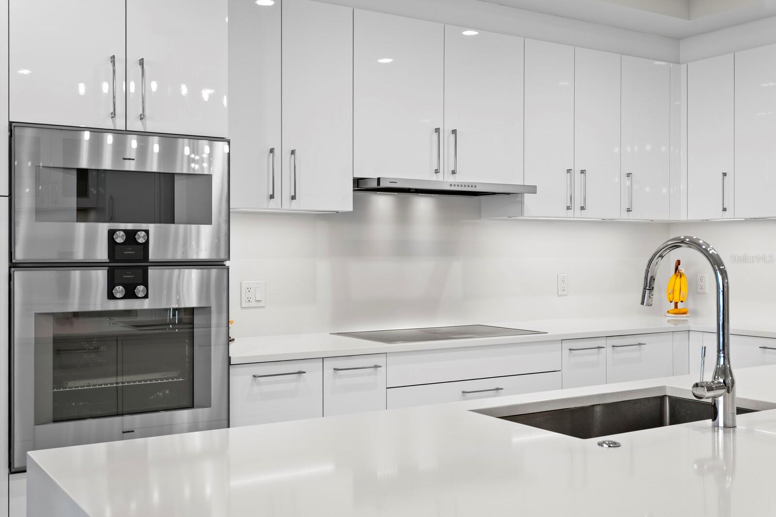 HYDE PARK HOUSE CONDOMINIUM - Residential