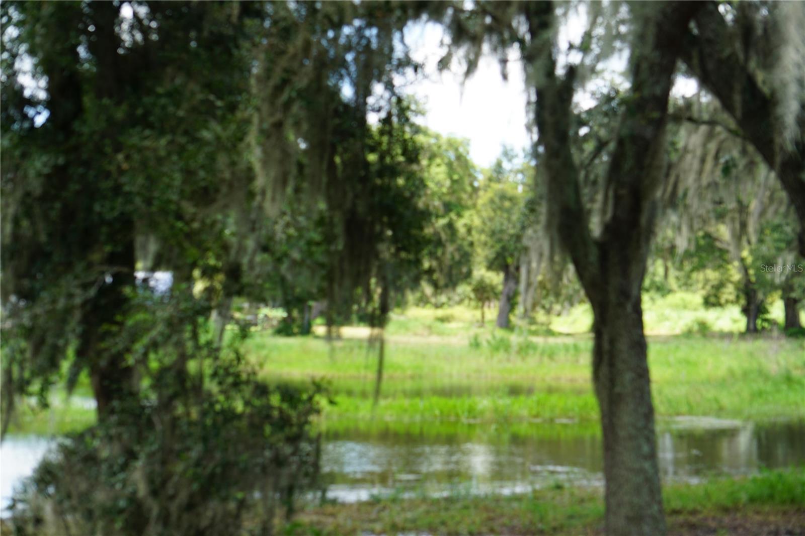 Don't miss your opportunity to own one of the 3 beautiful lots in newly platted subdivision of Yahweh Acres! Each Lot is fenced with 3+ acres and mature oaks trees. Ready for you to build your dream home! Enjoy the tranquility of the countryside and the convenience of the close proximity to Interstate 4 and I-75 provides! No CDD or HOA fees.