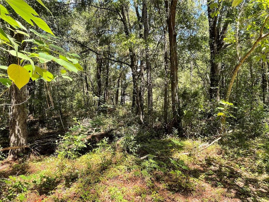 Seize the chance to own a .23-acre homesite in Ocala's growing Rainbow Park Community! Zoned R1 for single-family homes, this wooded lot offers natural privacy with no HOA fees and peace of mind being outside flood zones. Tucked on a quiet dirt road, yet only minutes to Hwy 40, shopping, dining, and Ocala's equestrian and outdoor attractions. Electric pole directly across the the road. Ideal for your custom build or as a smart land investment in one of Marion County's fastest-growing areas!