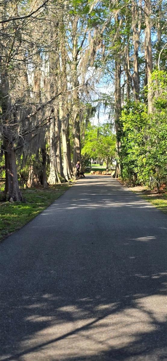 CONCORD WOODS VILLAGE SEC 1 - Residential