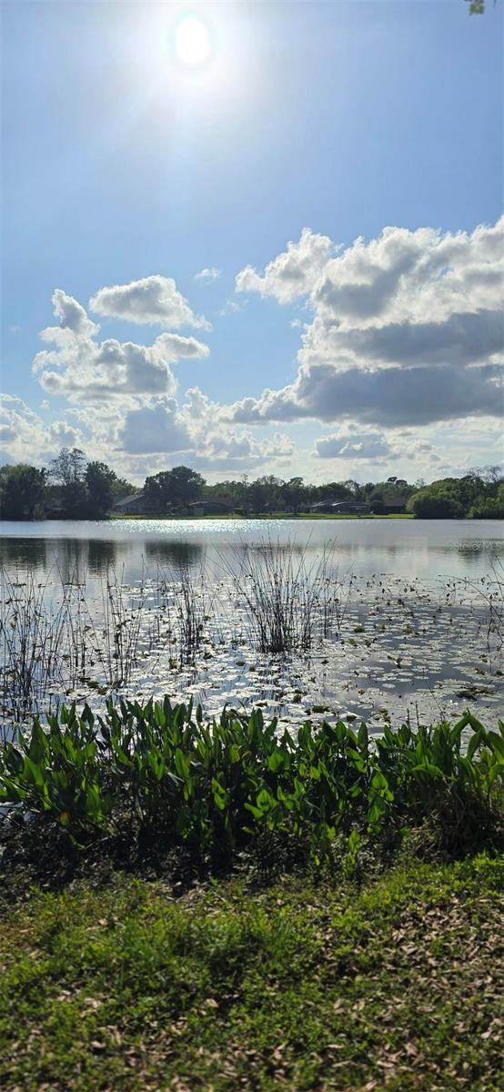 CONCORD WOODS VILLAGE SEC 1 - Residential