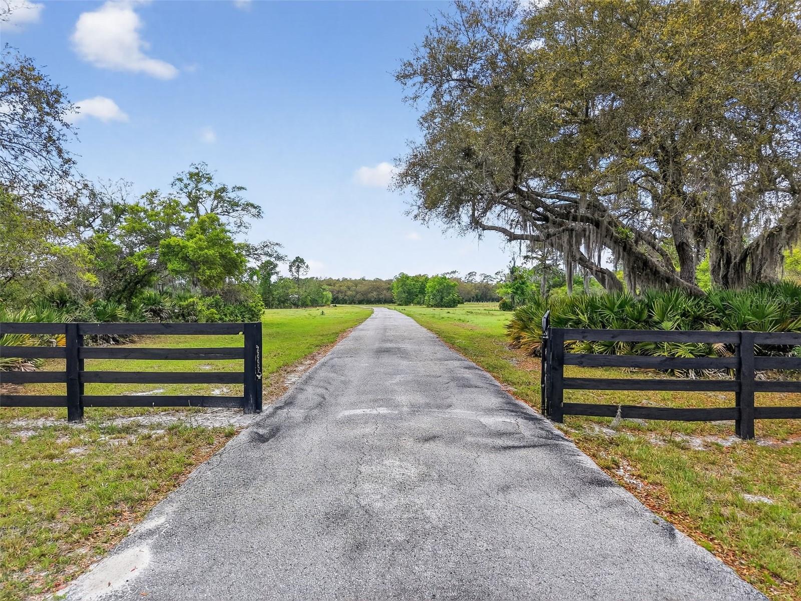 36707 COUNTY ROAD 439