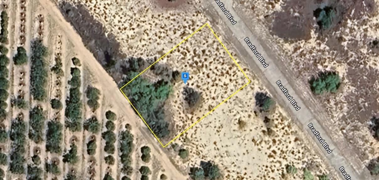 Listing image 7