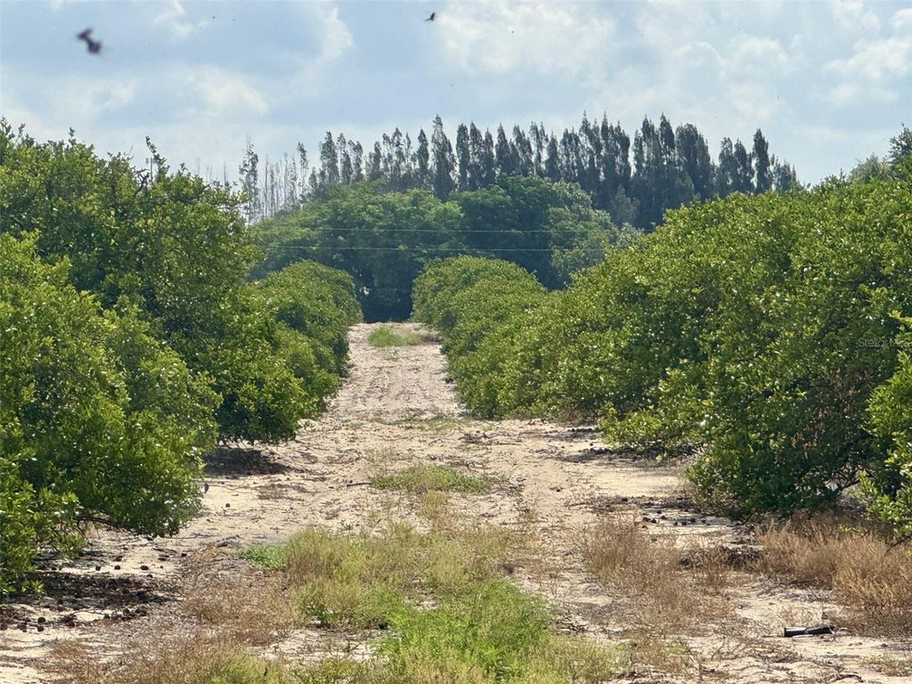 Photo of Crooked Lake Drive N, Babson Park, FL 33827 (MLS # P4938673)