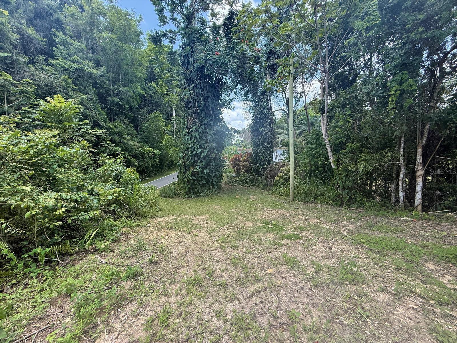 11-acre farm ideal for eco-friendly development, agrotourism projects, agricultural production, or livestock.
Property has vehicular access and water connection.
Zoning: R-G (Rural General)
All interested buyers should conduct their own due diligence with the appropriate agencies to verify the feasibility of their intended use.