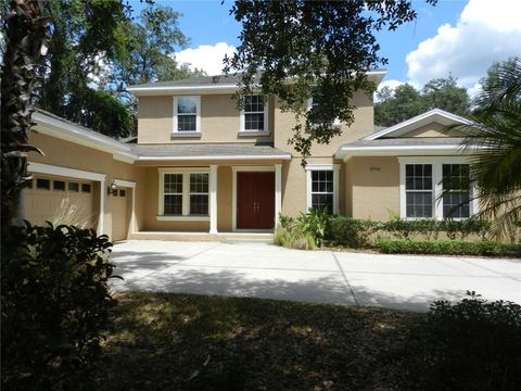 A home in LITHIA