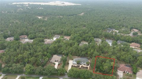 Tiny photo for 116 S Oak Village Boulevard, Homosassa, FL 34446 (MLS # W7885651)
