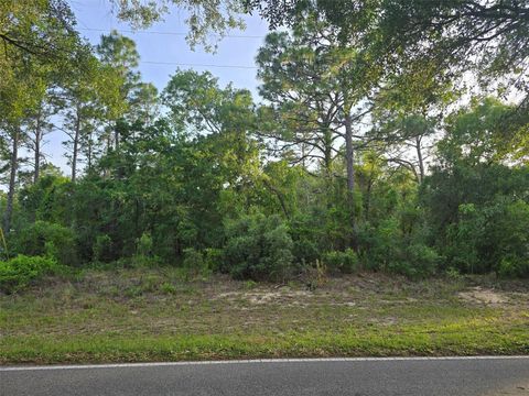 Tiny photo for 116 S Oak Village Boulevard, Homosassa, FL 34446 (MLS # W7885651)