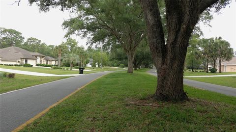 Tiny photo for 116 S Oak Village Boulevard, Homosassa, FL 34446 (MLS # W7885651)