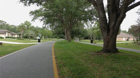Tiny photo for 116 S Oak Village Boulevard, Homosassa, FL 34446 (MLS # W7885651)