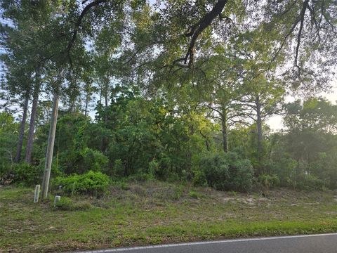 Photo of 116 S Oak Village Boulevard, Homosassa, FL 34446 (MLS # W7885651)