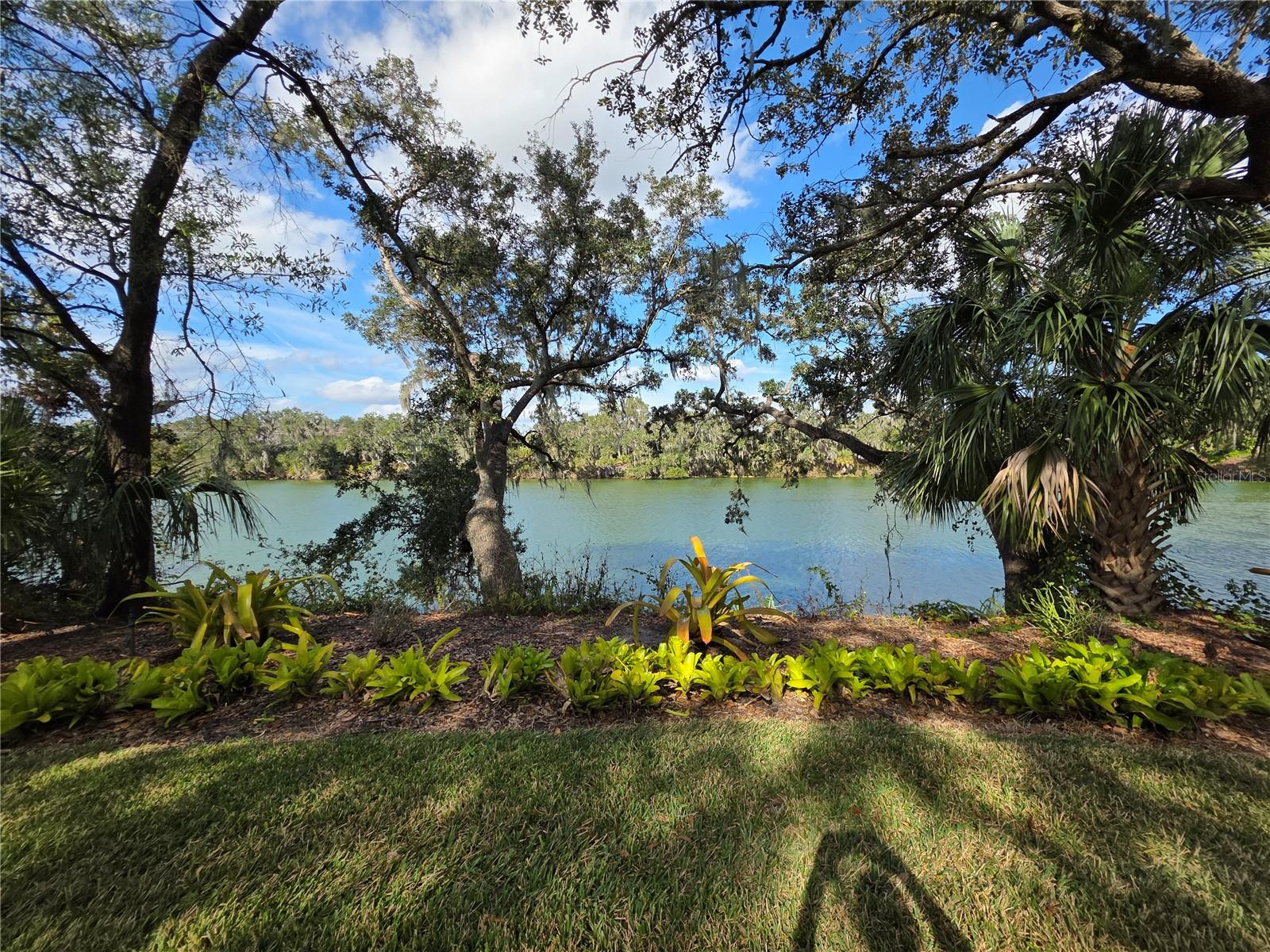 WATER OAK - Residential